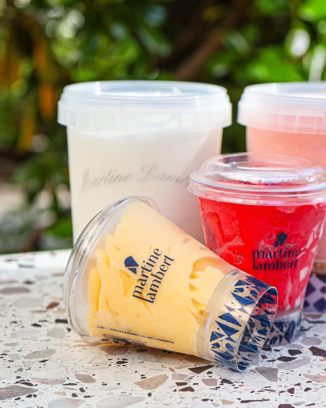 Sorbets & Glaces
